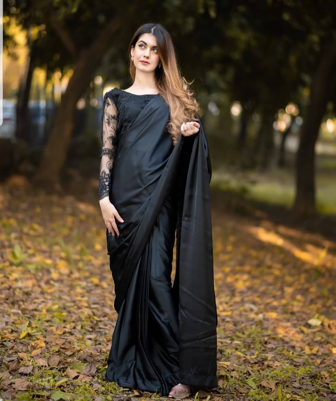 Black Silk Saree With Embroidered Net Blouse – Faash Wear