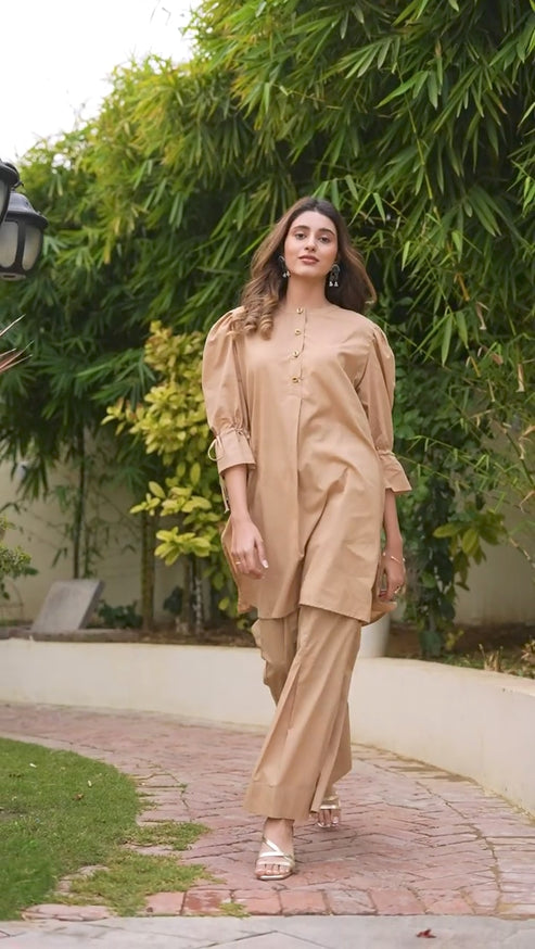 Women's Elegant Beige Dress (02 Piece)